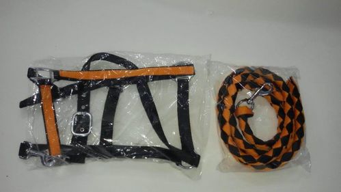 Pinnacle Headcollar & Lead rope - Black & Orange