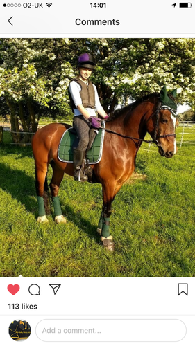 Choe's Beautiful Freddie in his Forest Green Dressage Set