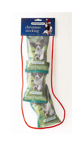 Champion Christmas Treat Stocking for Dogs