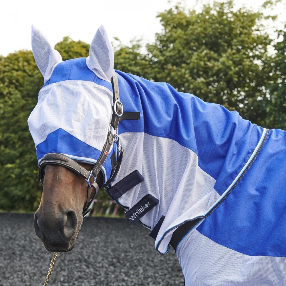 John whitaker fly rug  with FREE FLY MASK 