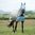 Gallop All in One Fly Rug with FREE Mask - All Sizes